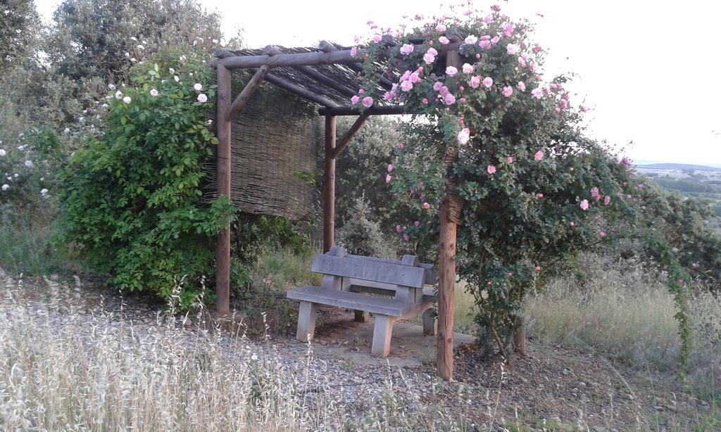 Monte Azinheiras Holiday home Arraiolos