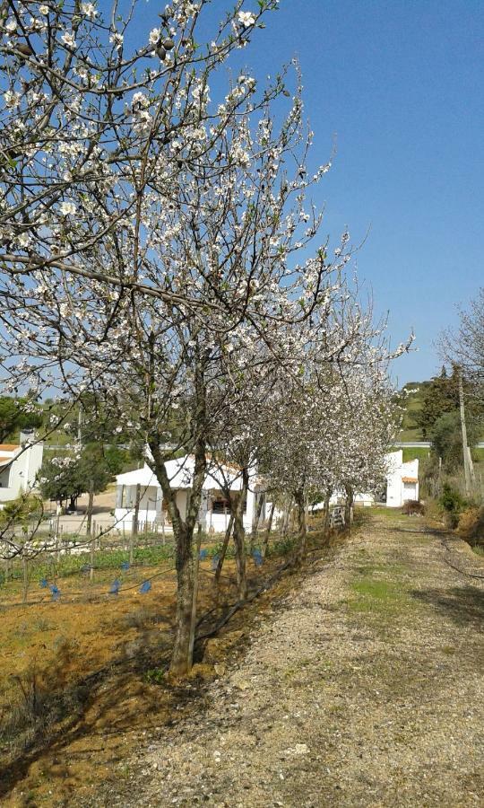 Monte Azinheiras Arraiolos